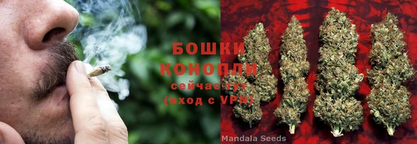 мдпв Лиски