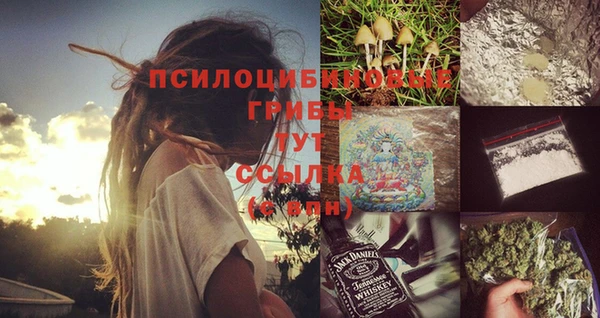 мдпв Лиски